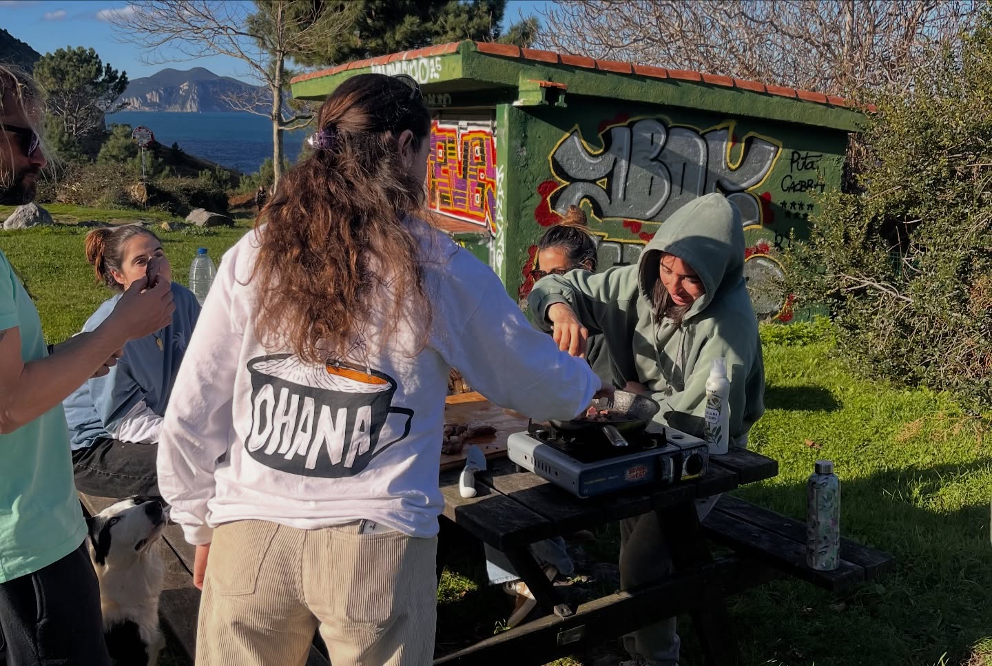 La cuadrilla de Ohana de excursión en la costa